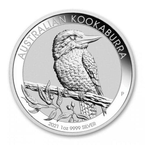 Silver Kookaburra
