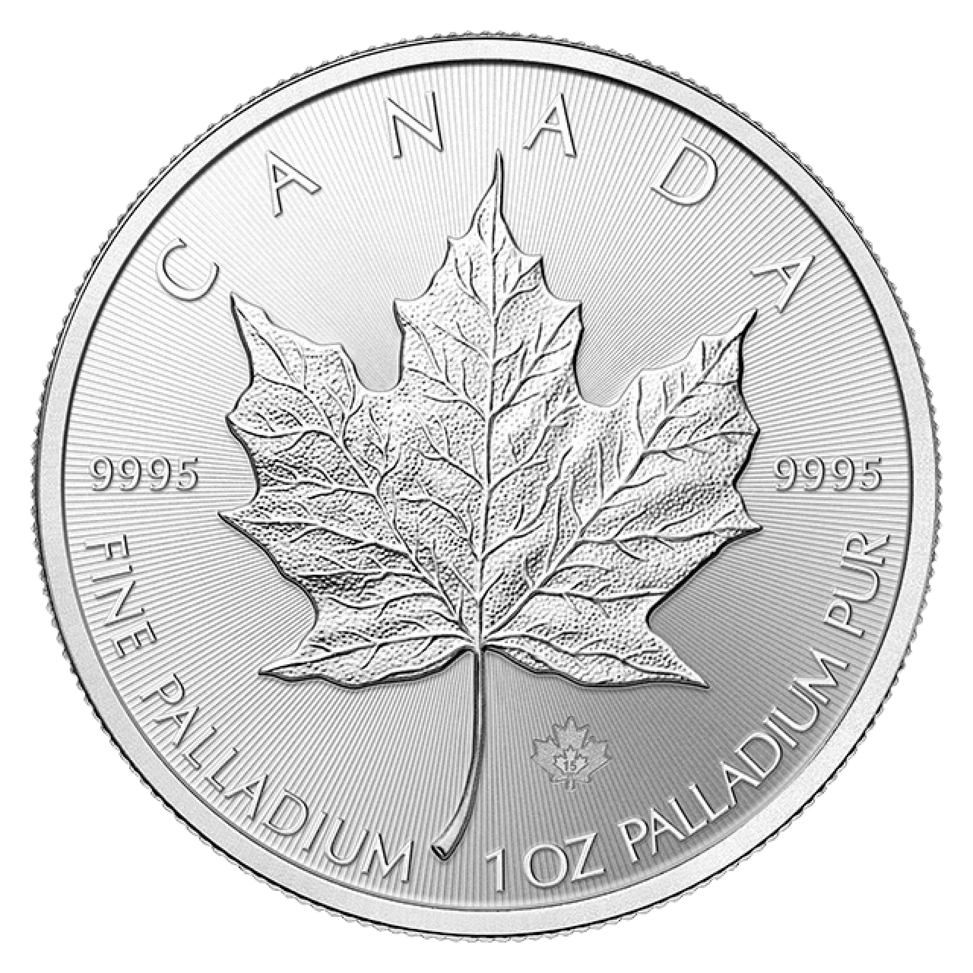 1 oz Palladium Canadian Maple Leaf reverse view