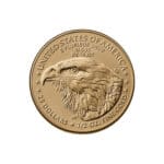 American Gold Eagle one half oz coin reverse with bald eagle portrait