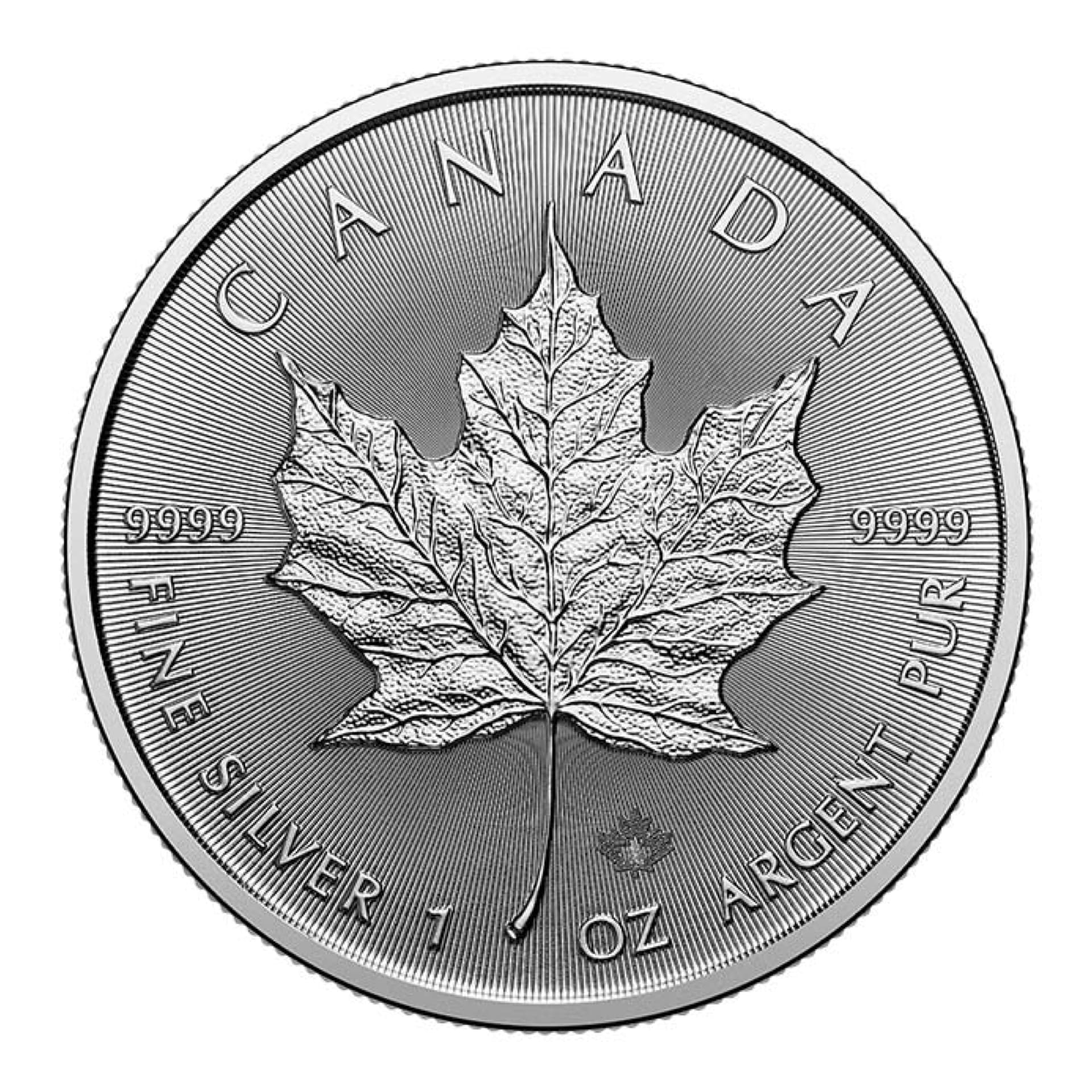 Canadian Silver Maple Leaf one ounce silver coin reverse with detailed maple leaf design