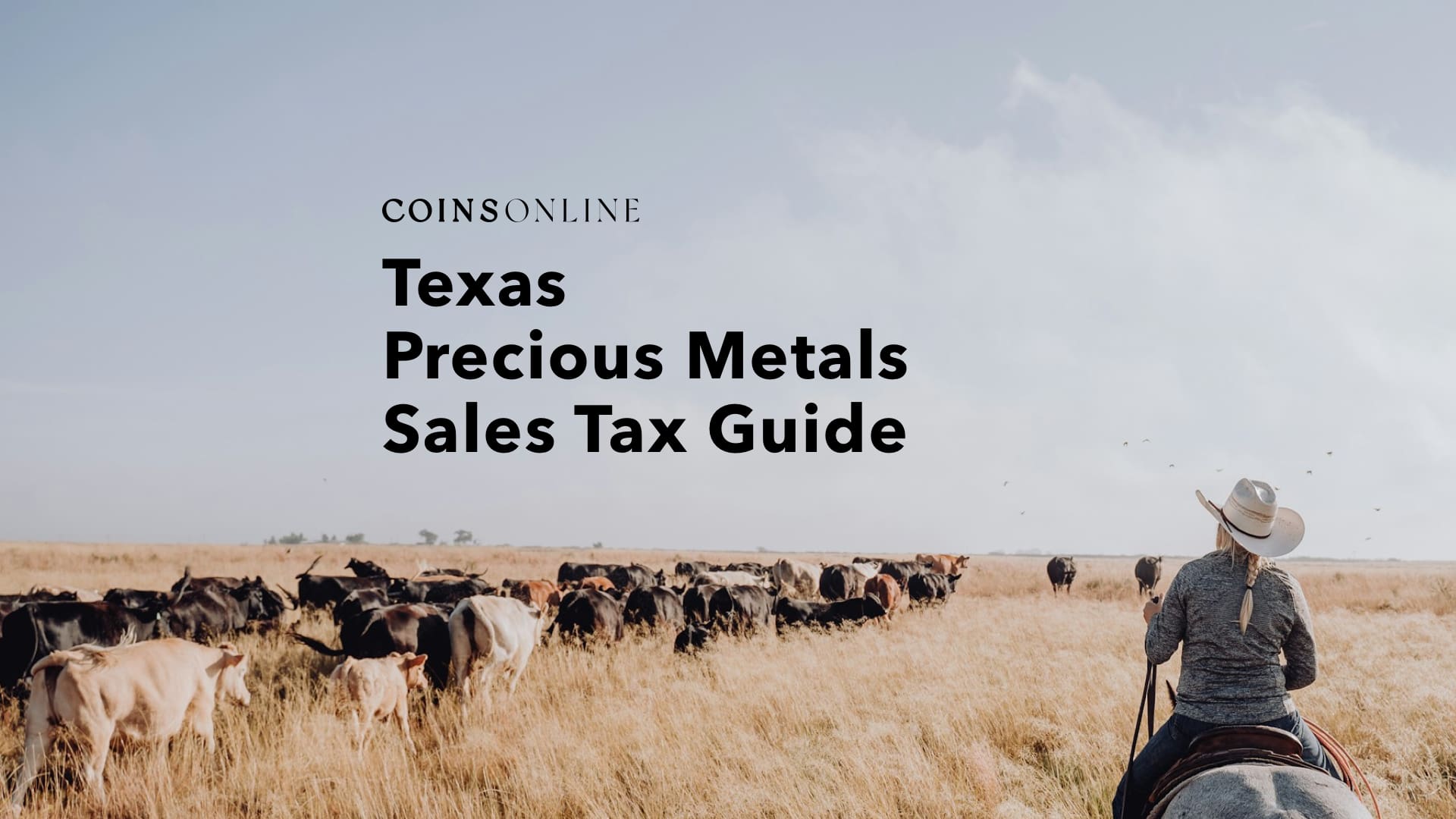 Texas precious metals sales tax guide featuring open ranch landscape with Coins Online branding